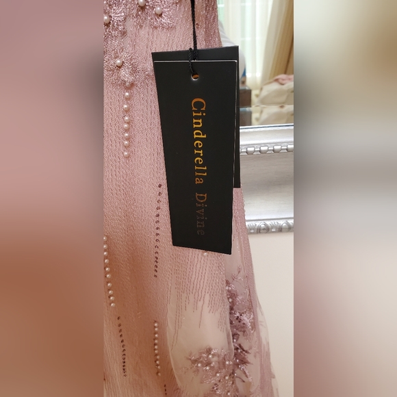 Rose blush evening gown, NWT, front slit - Picture 6 of 10